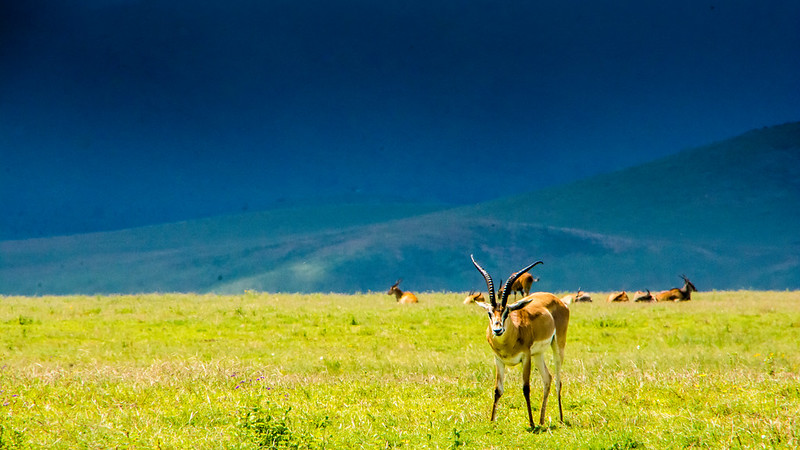 Lake Manyara Landscape