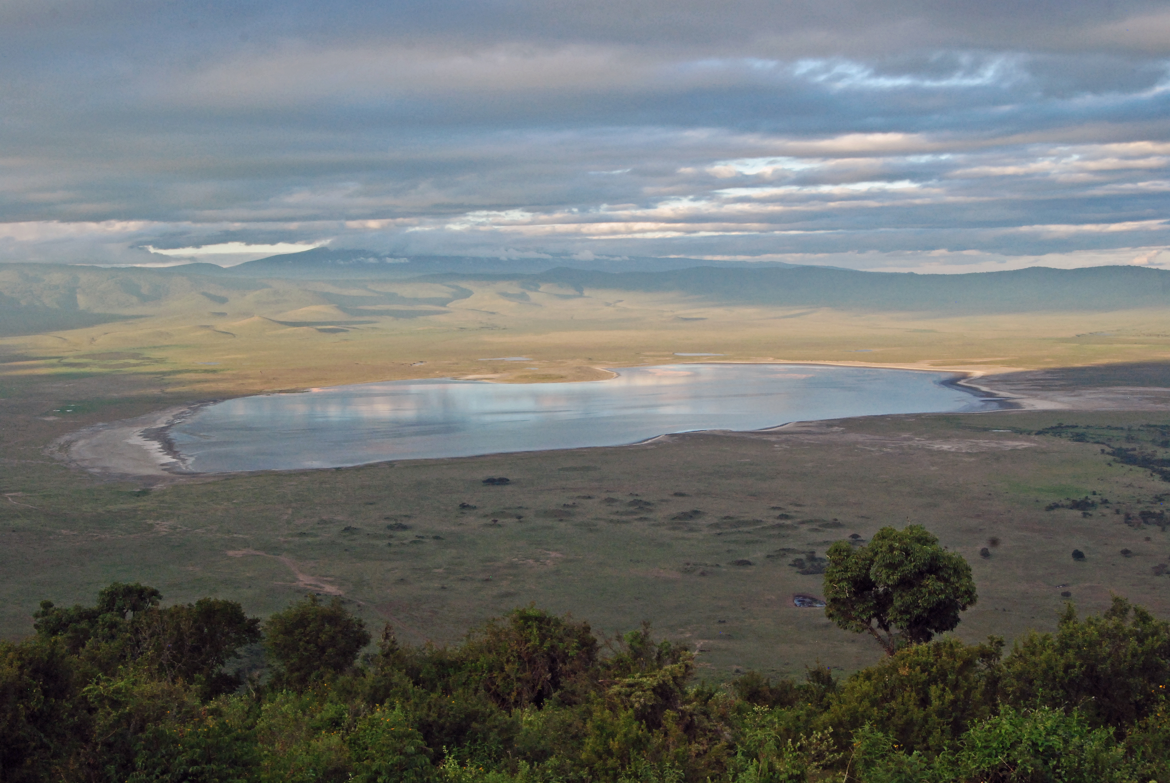 Ngorongoro Crater