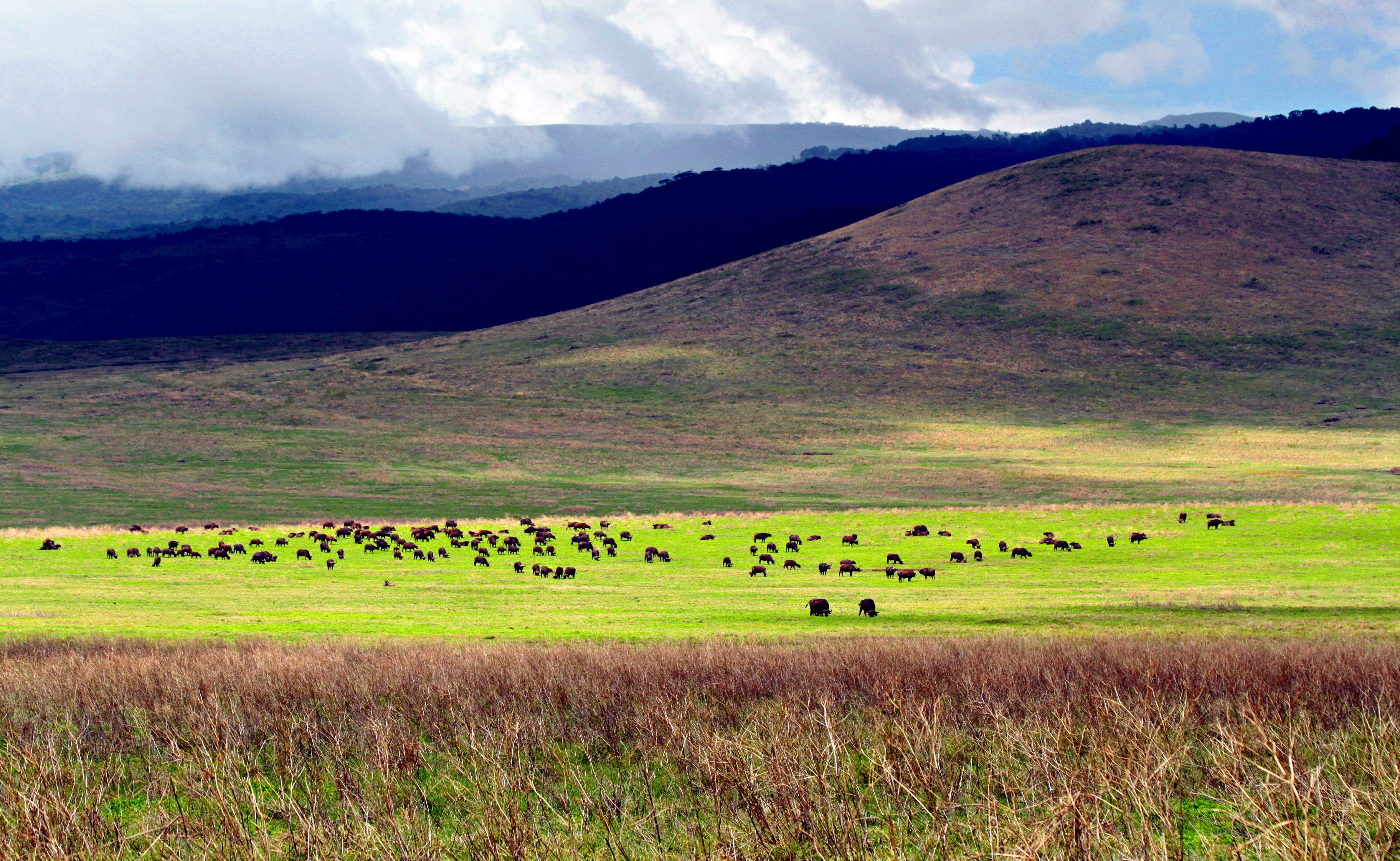 Ngorongoro Landscape