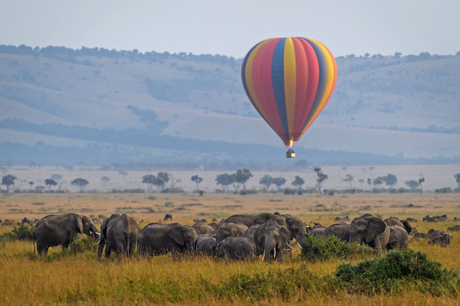 Hot Air Balloon Safari