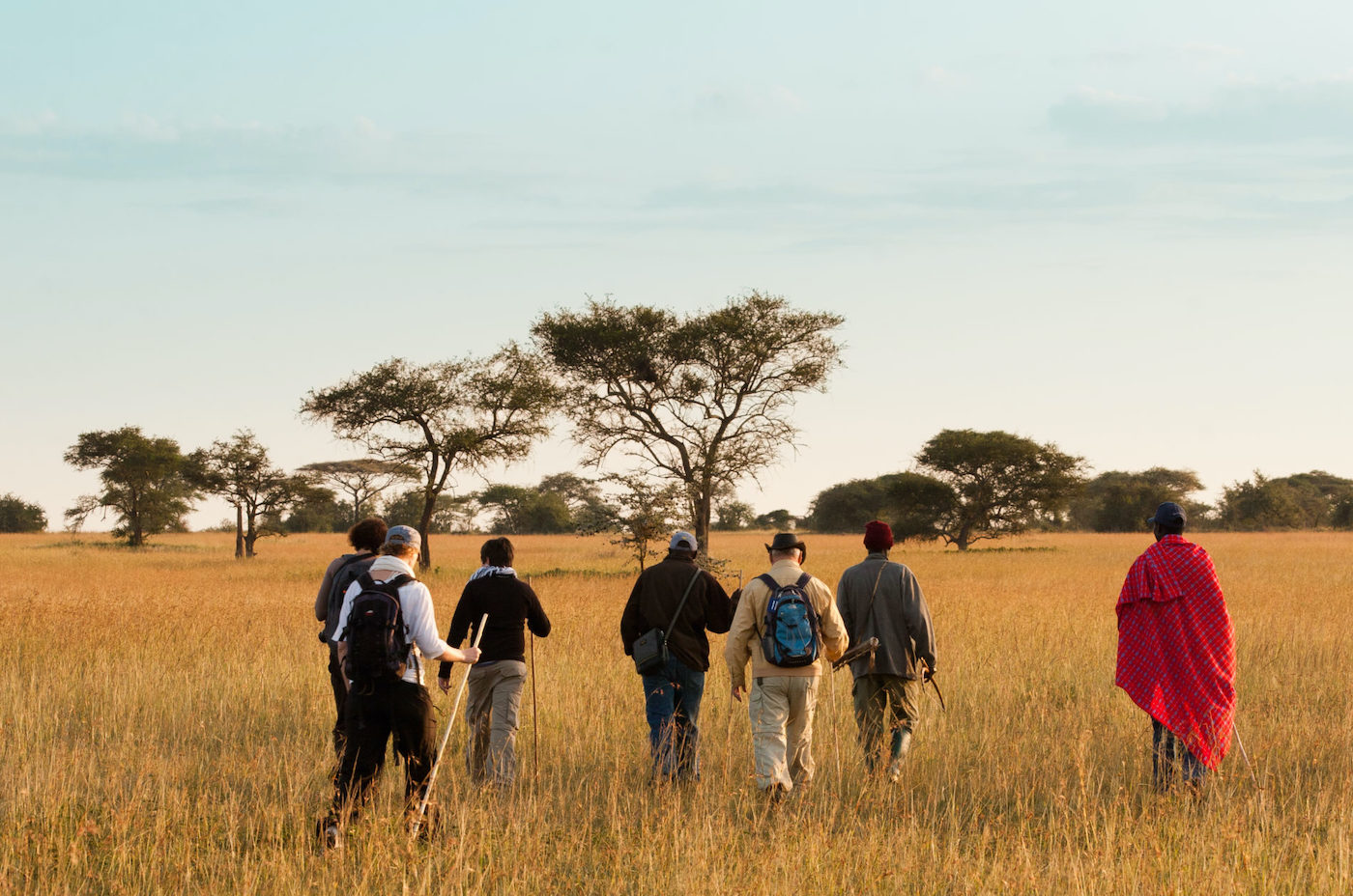 Walking Safari in Selous